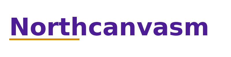 Northcanvasm logo